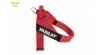 Julius Belt harness 2 Red image